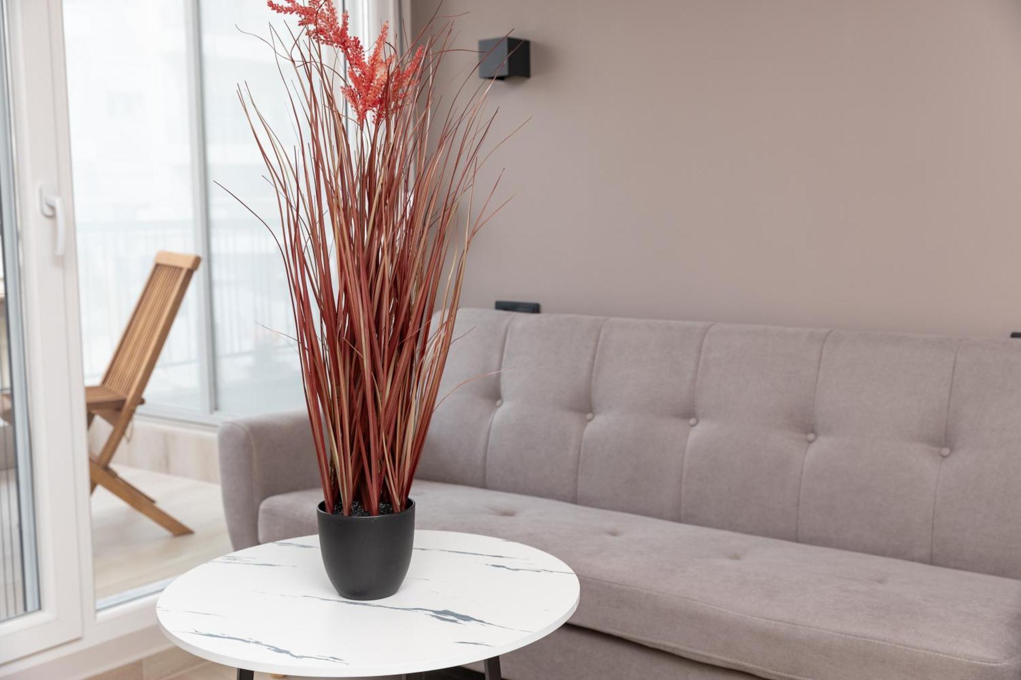 Appartement Oditee Rotonda *